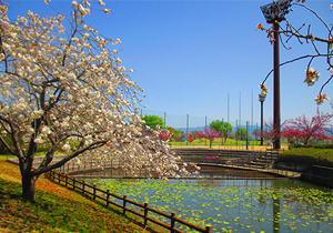 中央市玉穂ふるさとふれあい広場