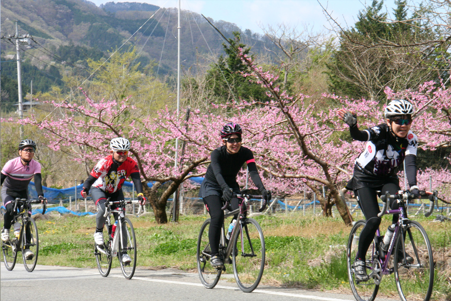 桃と桜のサイクリング2018